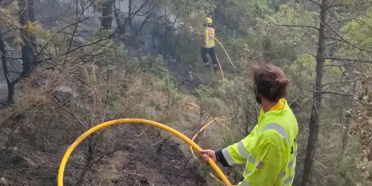 Les ADF del Solsonès, molestes amb el Consell Comarcal per no convocar-les a una reunió de treball sobre incendis forestals