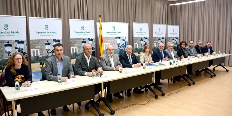 Ajuts per a la biomassa al Pirineu