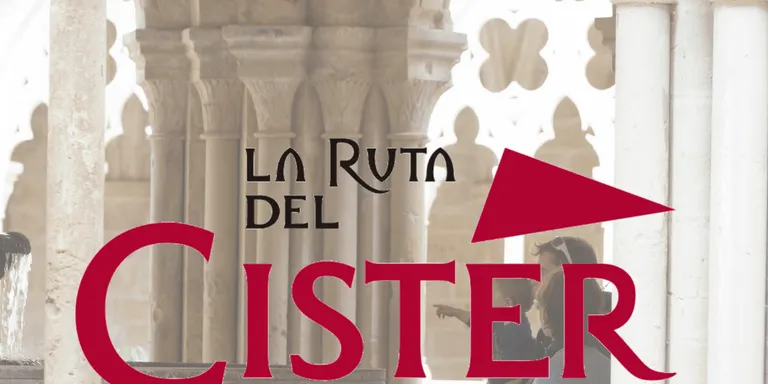 El ple defensa la sanitat pública i declara Rubí ciutat antifeixista