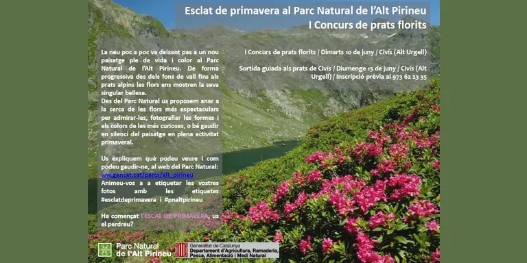 El Parc Natural de l'Alt Pirineu difon la flora a través de la campanya 'Esclat de primavera'