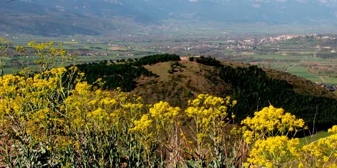 Llívia, nou municipi que s’incorpora al FeMAP
