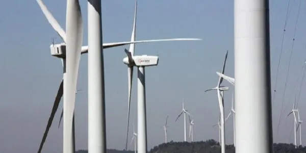Neix la Plataforma Territori Sostenible del Camp per reclamar “una transició energètica respectuosa i justa”