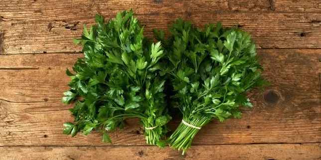Xerrada sobre com fer servir les herbes aromàtiques a la cuina