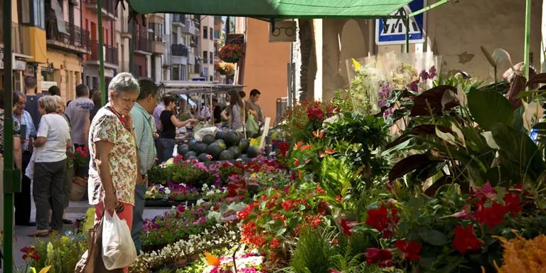Ple extraordinari a l'Ajuntament de la Seu per a la nova ordenança del mercat setmanal