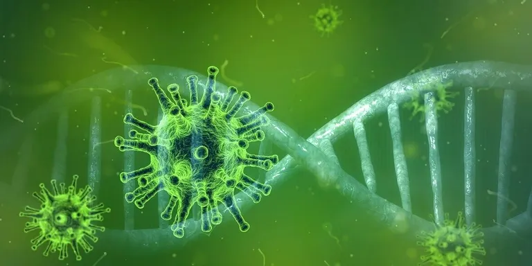 Ampliació de les mesures adoptades en la prevenció del contagi del coronavirus - (15.00 h)