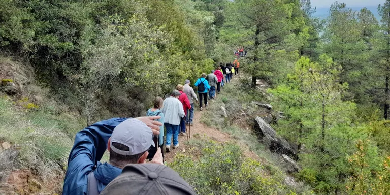 Obertes les inscripcions a una vintena d'activitats per a la gent gran de Solsona