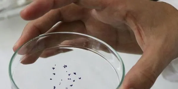 Una investigació de la URV aconsegueix sintetitzar microcàpsules amb plàstics d'origen natural