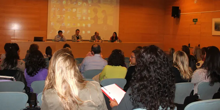 Una jornada de treball tracta l'atenció als malalts mentals més joves