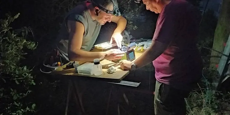 Afectació en el servei de telefonia i fibra òptica a Aravell i Bellestar després de la bolcada d'un camió
