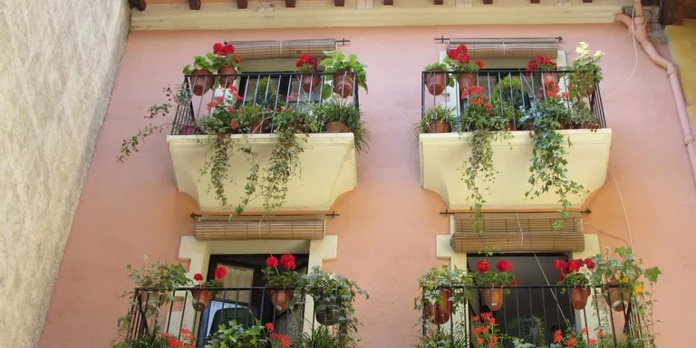 Prop de quaranta participants al concurs d'embelliment amb flors del carrer dels Canonges de la Seu