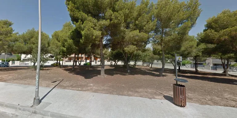 Vistiplau del ple a la proposta per condicionar una zona verda al barri de Sant Jordi