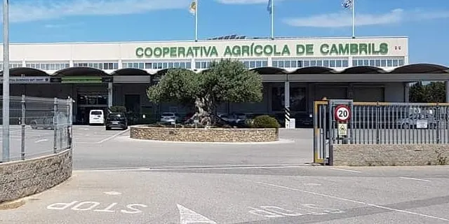 La Cooperativa Agrícola de Cambrils fa un segon pagament als seus creditors de 650.000 euros