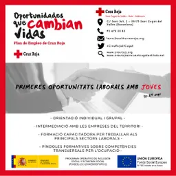#30 - Projectes de feina amb la Creu Roja - episode art