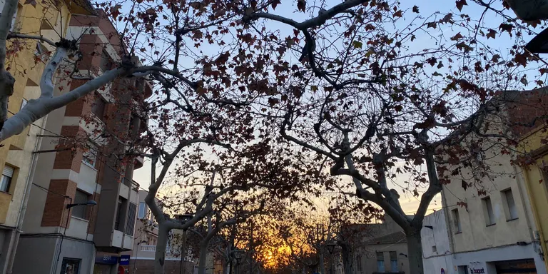 El temps d'aquest dimecres 31 de gener