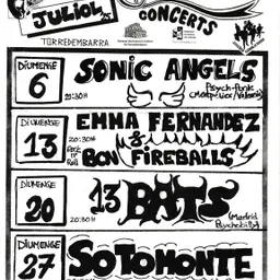 Entrevista a la Vio de l'Associació Cultural La Traviesa - Concerts juliol 2025 - episode art