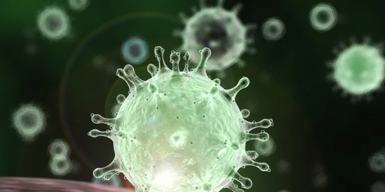 Bloc informatiu: especial coronavirus dimecres 1 d’abril (matí)