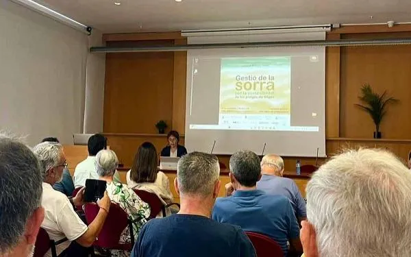 Foto: Ajuntament de Roda de Berà