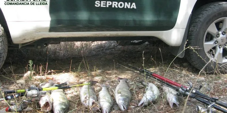 Noves denúncies a pescadors furtius als embassaments d'Oliana i Rialb