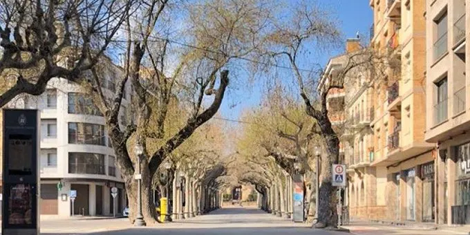 La CUP critica que l'Ajuntament no deixi posar parades de Sant Jordi a les entitats