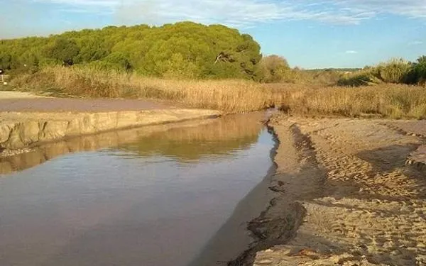 La Sínia se suma a la demanda d’incorporar un fons per al patrimoni natural als Pressupostos 2017