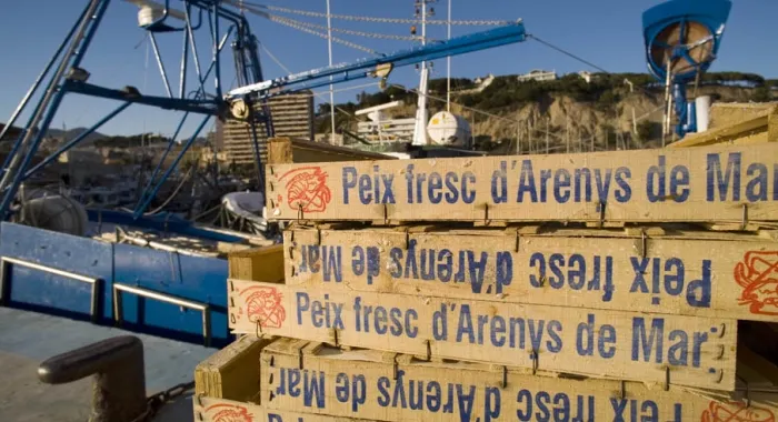 Hisenda inspecciona la llotja d'Arenys en l'operació 'Piélago'