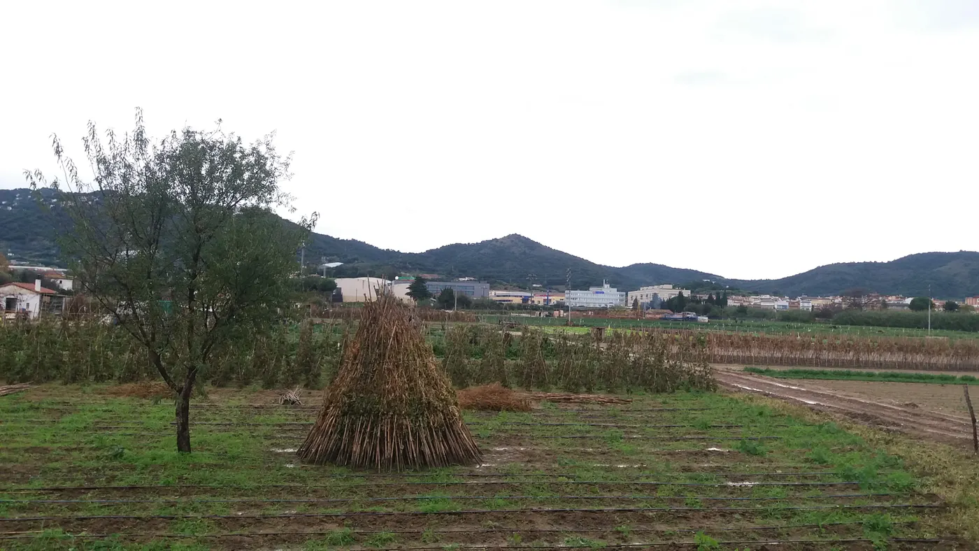 Cap de setmana amb fred d'hivern