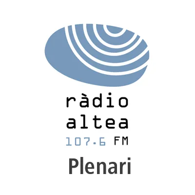 Plenari