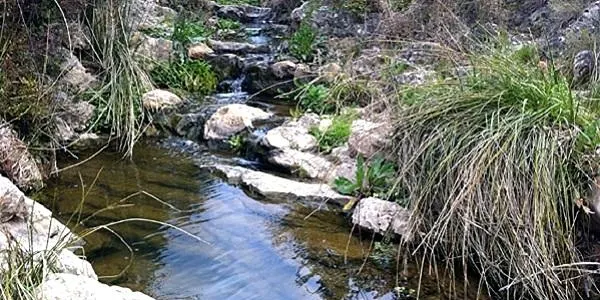 Repsol treballa en la millora de l’Espai Natural Protegit ‘Riu Gaià’ de la mà de les empreses Acció Natura 2000 i Limonium