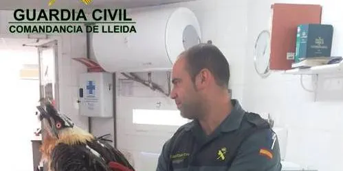 Rescaten un trencalòs ferit a Peramea