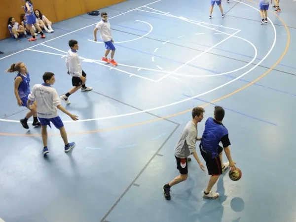 La majoria de subvencions atorgades al 2019 són per a entitats esportives i escoles