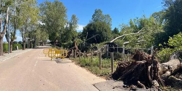 Reoberts al trànsit els carrers que restaven tallats per la tempesta de dilluns a Altafulla