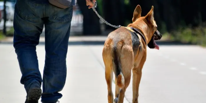 L’ordenança de tinença d’animals entra en vigor a partir d’avui