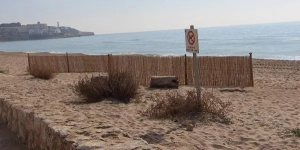 Altafulla impulsa la constitució del Consell Municipal de Medi Ambient