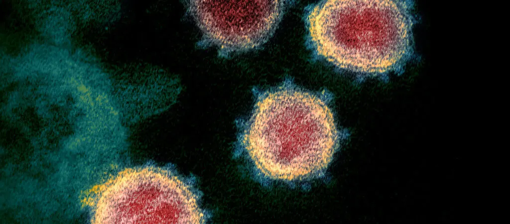 Dades sobre coronavirus fins al 3 de març
