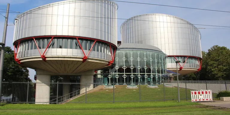 Estrasburg avala la presó preventiva de Junqueras, Turull i Sànchez en ple procés per "preservar l’ordre constitucional"