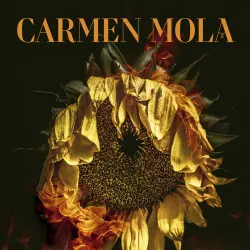Entrevista a Carmen Mola - episode art