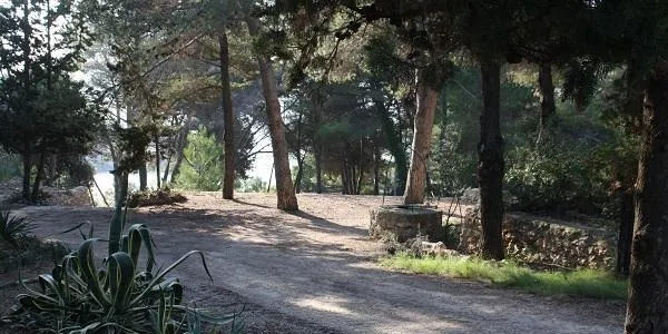 Entrades esgotades per a la jornada de portes obertes a la finca del Canyadell, aquest dissabte