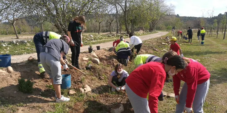 200 alumnes del Morell participen en la quarta plantada popular