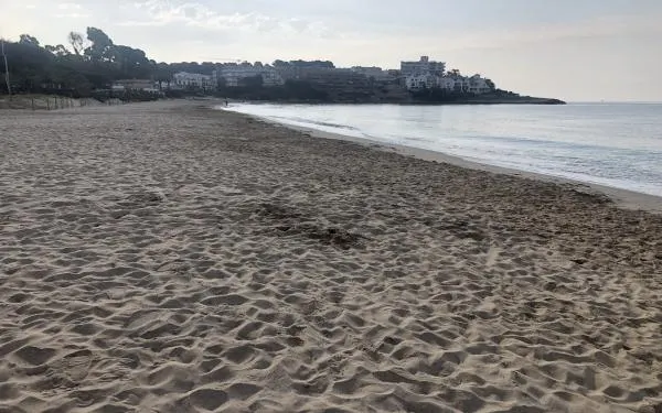 Foto: Ton Aymemí