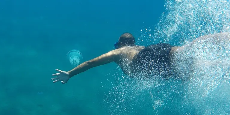 Els darrers dies han arribat meduses a la costa i cal tenir sentit comú i deixar-les tranquil.les