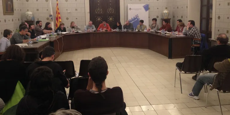 L'Ajuntament de la Seu estudiarà el cost de les exempcions de l'IBI al municipi
