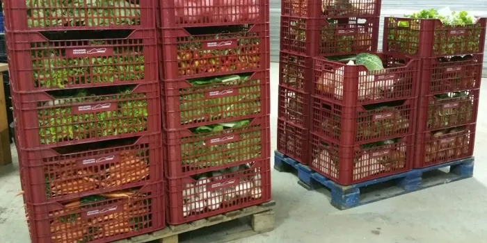 La Central de compres de productes d’horta i proximitat del Maresme ja funciona