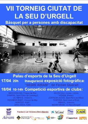Sedis - Torneig Ciutat de la Seu 2015 cartell