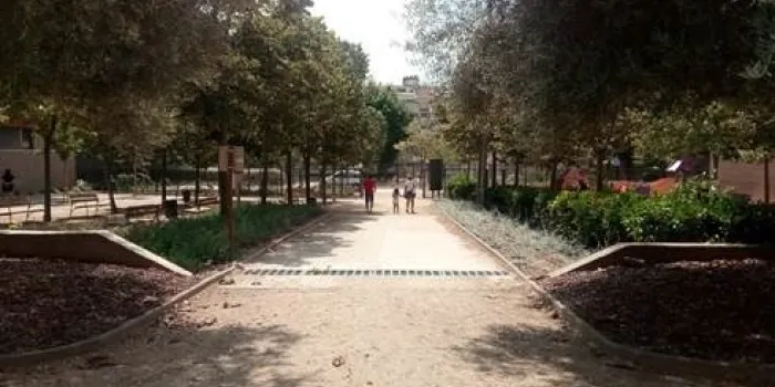 Les millores i la plantació de vegetació autòctona a la plaça Mare Paula han finalitzat aquest estiu
