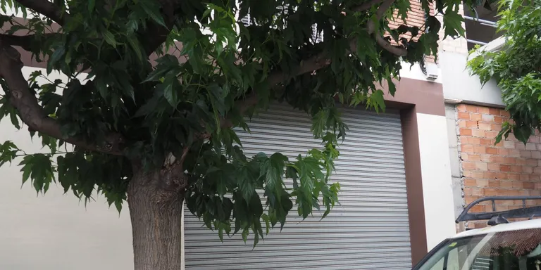L'Ajuntament cedeix un local a La Seu Solidària