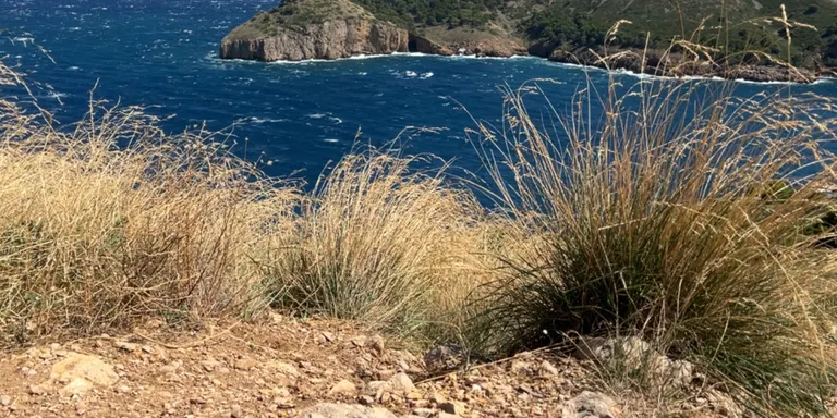 Els ecologistes insten la Generalitat a adquirir l’espai militar de Punta Milà per preservar el parc natural del Montgrí