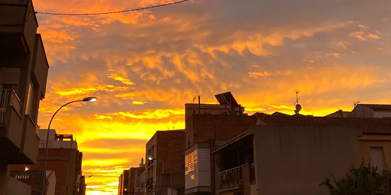 Quin temps farà avui divendres 1 de desembre?