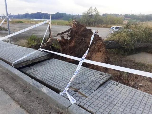 L'Ajuntament treballa per reparar els desperfectes provocats per la tempesta de diumenge