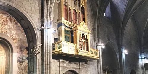 El consistori solsoní dona a conèixer l'orgue de la Catedral a tot l'alumnat de primària de la ciutat