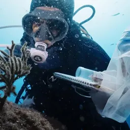 Entrevista a l'oceanògrafa de NAR, Iranzu Ganuza - episode art